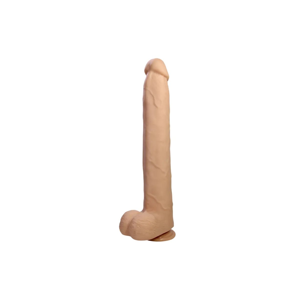Dany 14.6''